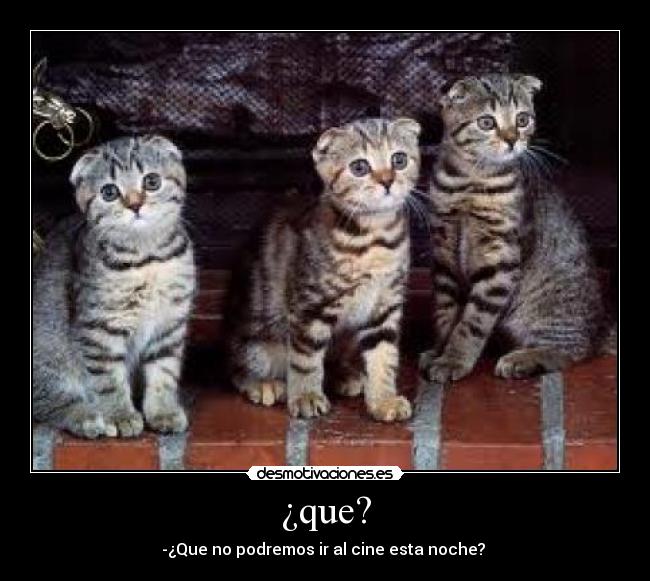 ¿que? -