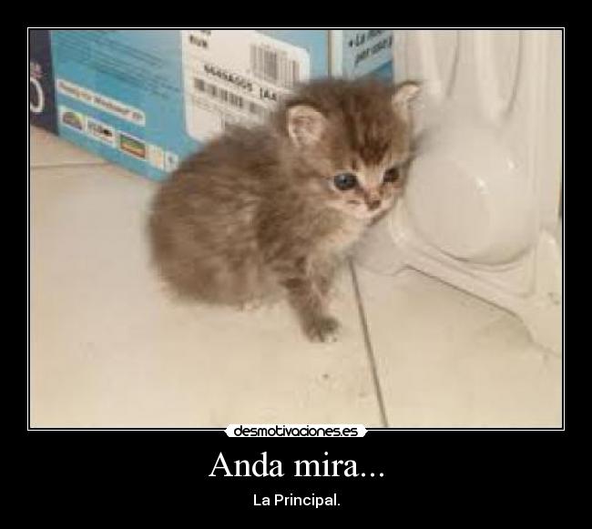 carteles anda mira desmotivaciones