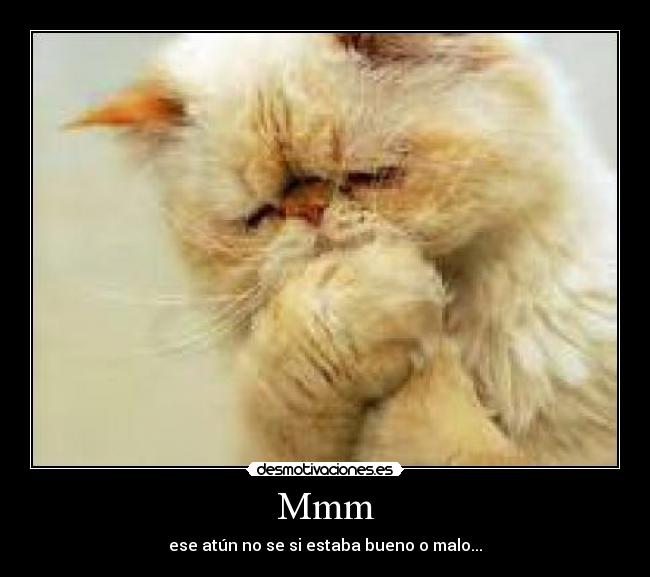 Mmm - ese atún no se si estaba bueno o malo...