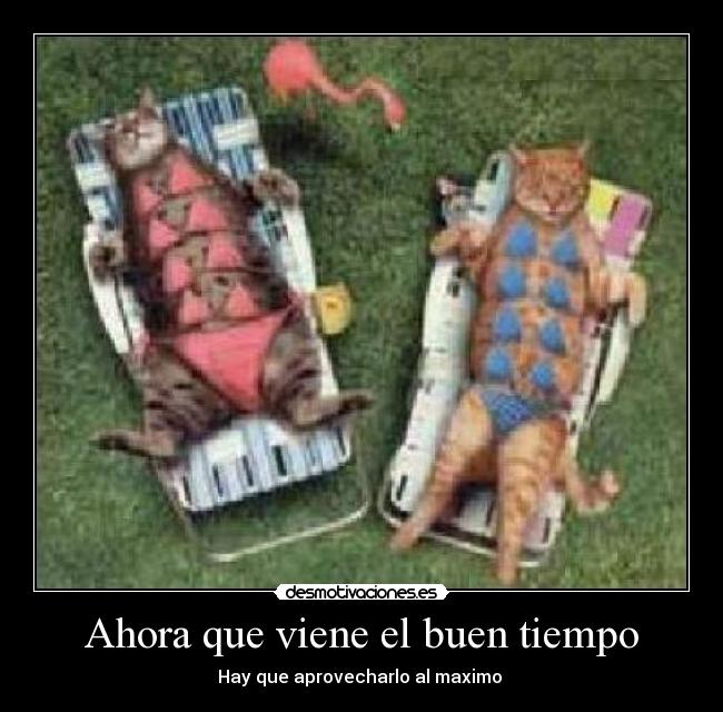 Ahora que viene el buen tiempo -