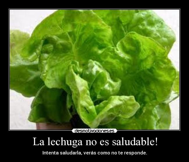 La lechuga no es saludable! - 