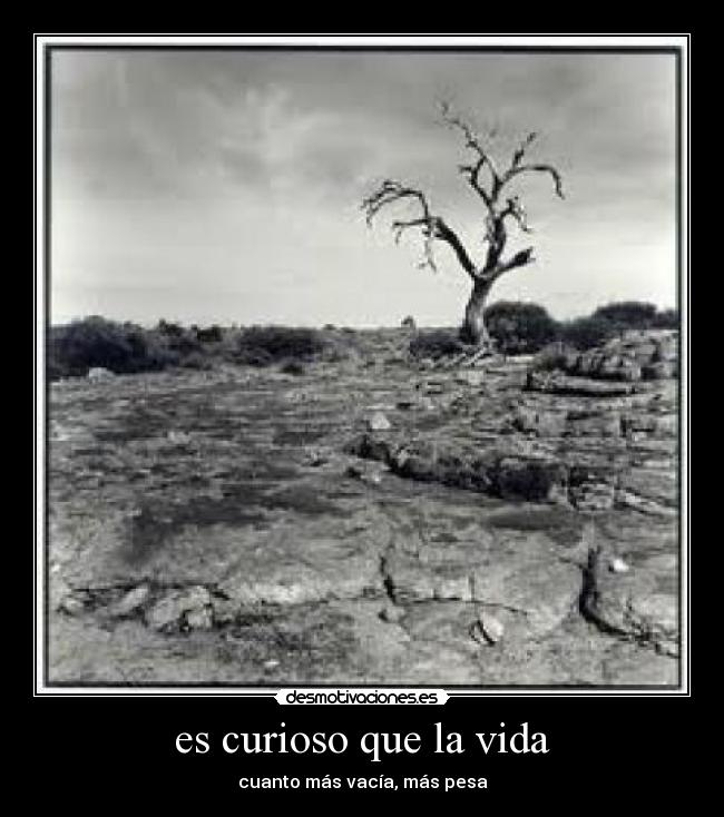 es curioso que la vida -