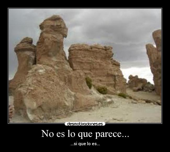 carteles polla desmotivaciones