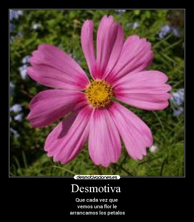 Desmotiva  - 
