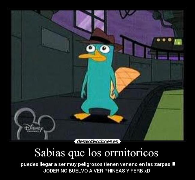 Sabias que los orrnitoricos -