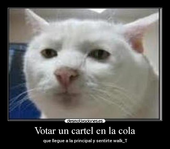 carteles ghoks desmotivaciones