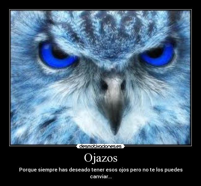 Ojazos - Porque siempre has deseado tener esos ojos pero no te los puedes canviar...