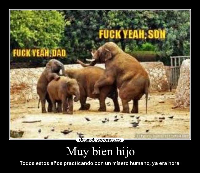 Muy bien hijo - 