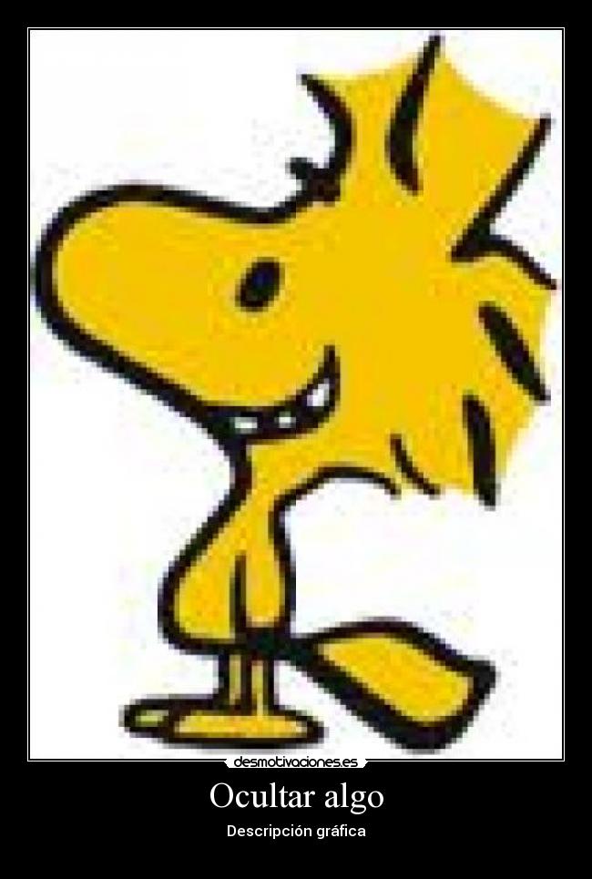 Ocultar algo - Descripción gráfica