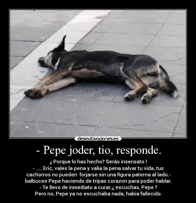 - Pepe joder, tio, responde. - ¿ Porque lo has hecho? Serás insensato !
- ..... Eric, vales la pena y valia la pena salvar tu vida, tus
cachorros no pueden  forjarse sin una figura paterna al lado.-
balbuceó Pepe haciendo de tripas corazon para poder hablar.
- Te llevo de inmediato a curar,¿ escuchas, Pepe ?
Pero no, Pepe ya no escuchaba nada, habia fallecido.