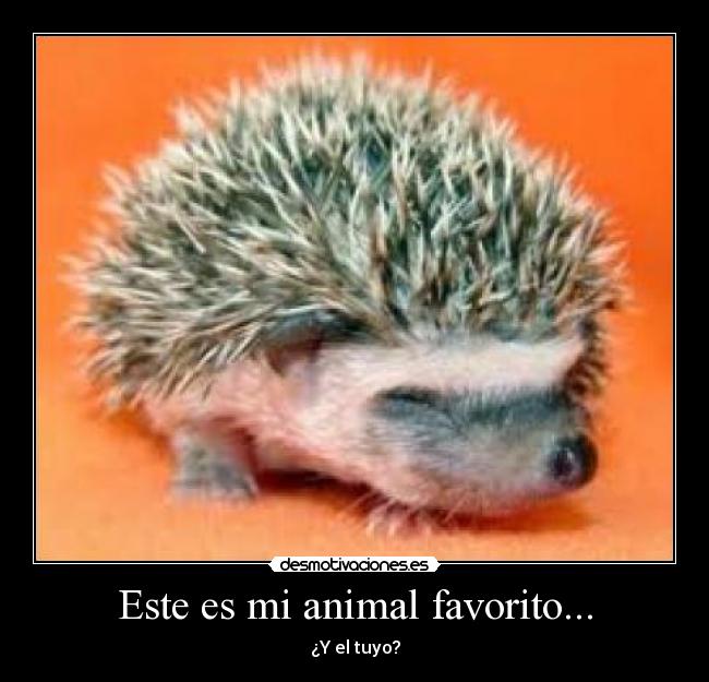 Este es mi animal favorito... - ¿Y el tuyo?