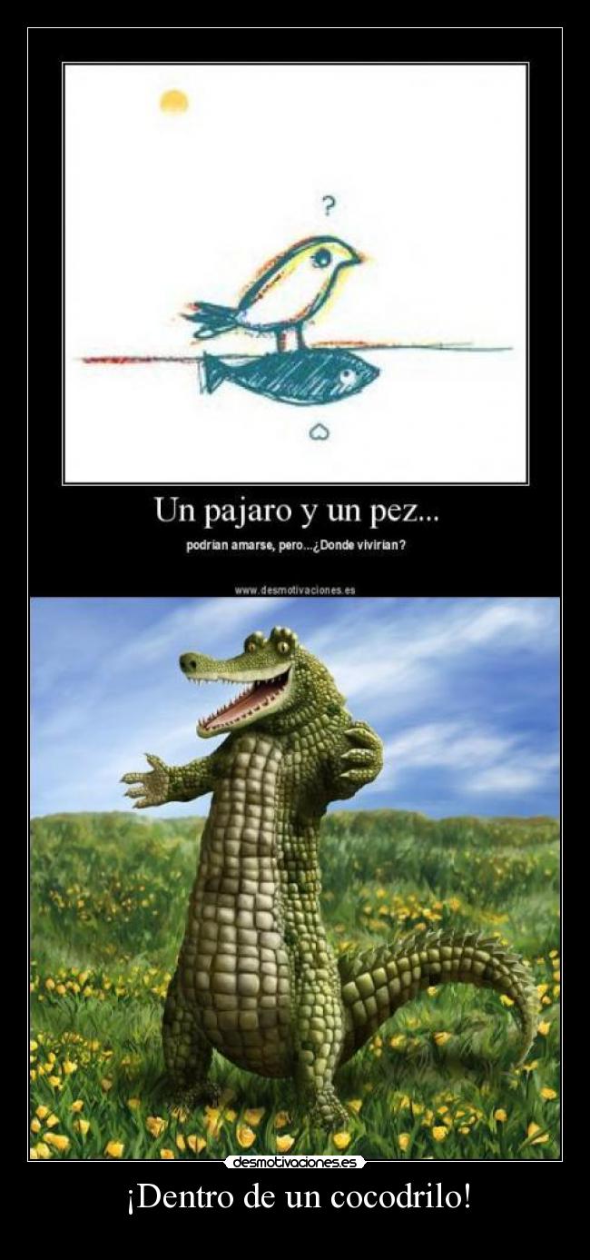 ¡Dentro de un cocodrilo! -