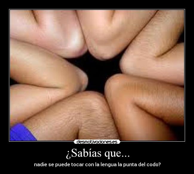 carteles codo desmotivaciones