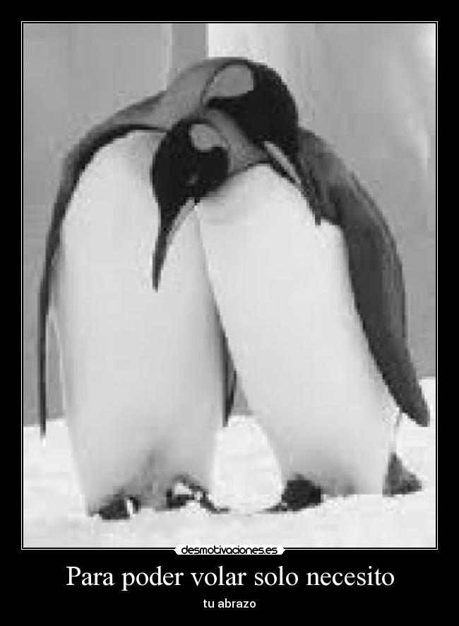 carteles volaar desmotivaciones