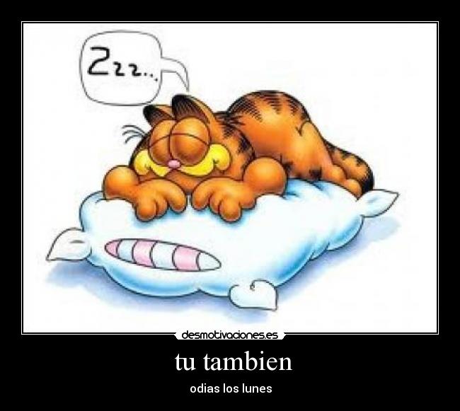 tu tambien -