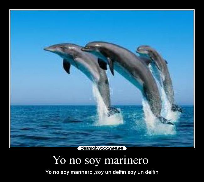Yo no soy marinero -