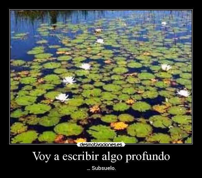 Voy a escribir algo profundo -