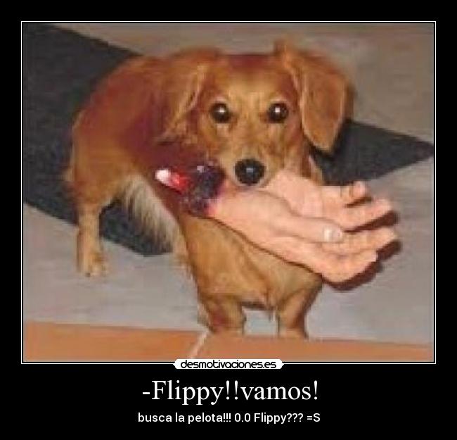 -Flippy!!vamos! -