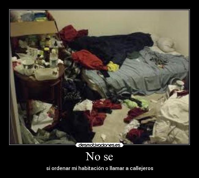 No se - si ordenar mi habitación o llamar a callejeros