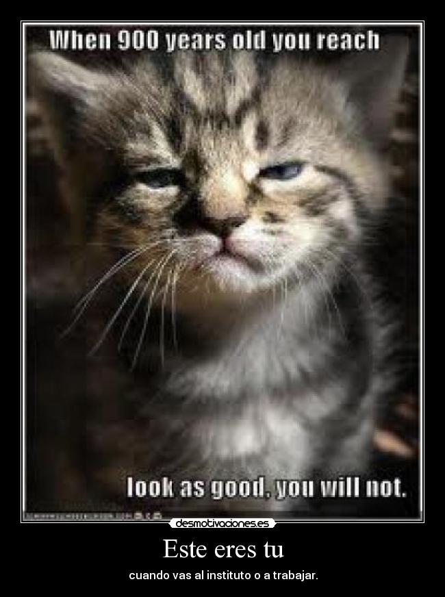 Este eres tu - cuando vas al instituto o a trabajar.
