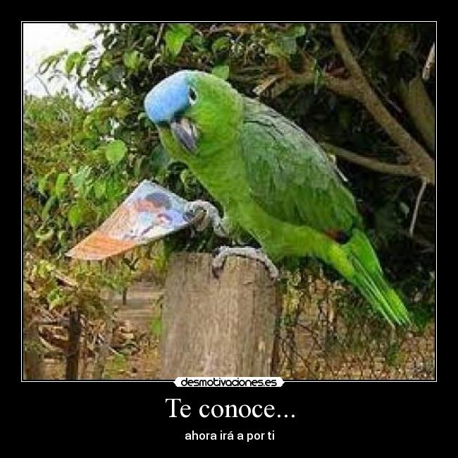 Te conoce... - ahora irá a por ti