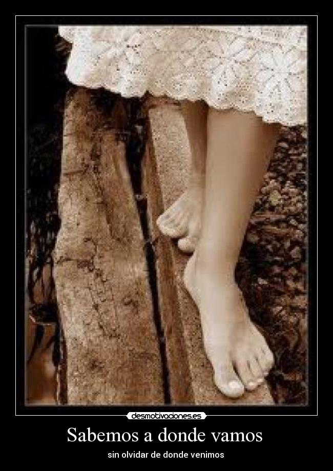 Sabemos a donde vamos  - 