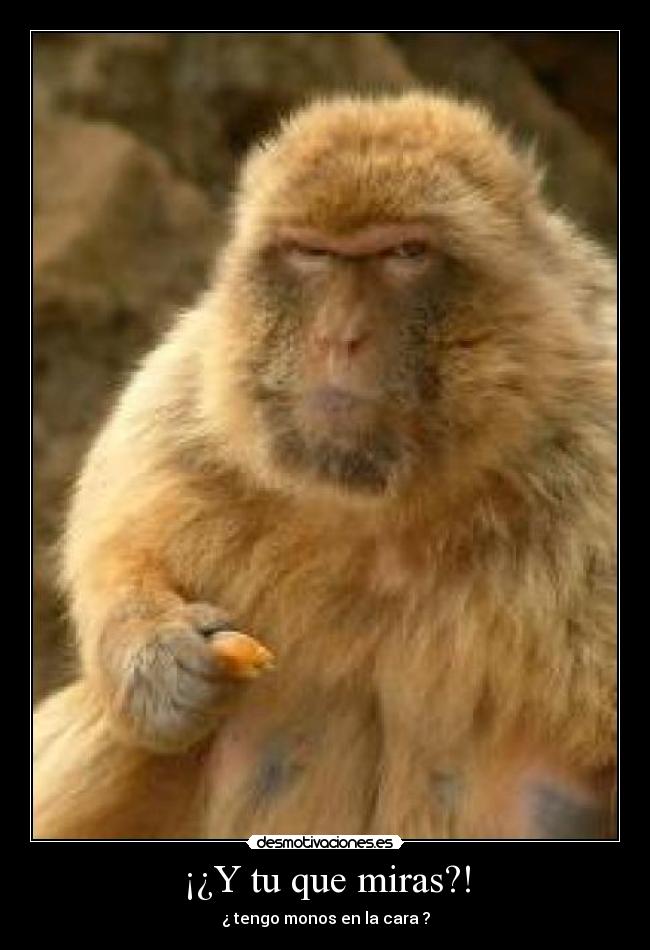 ¡¿Y tu que miras?! -