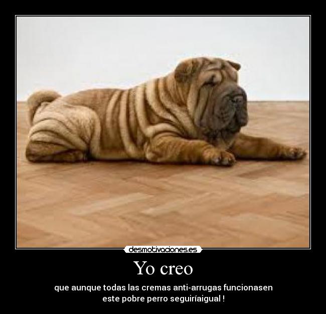 Yo creo - 