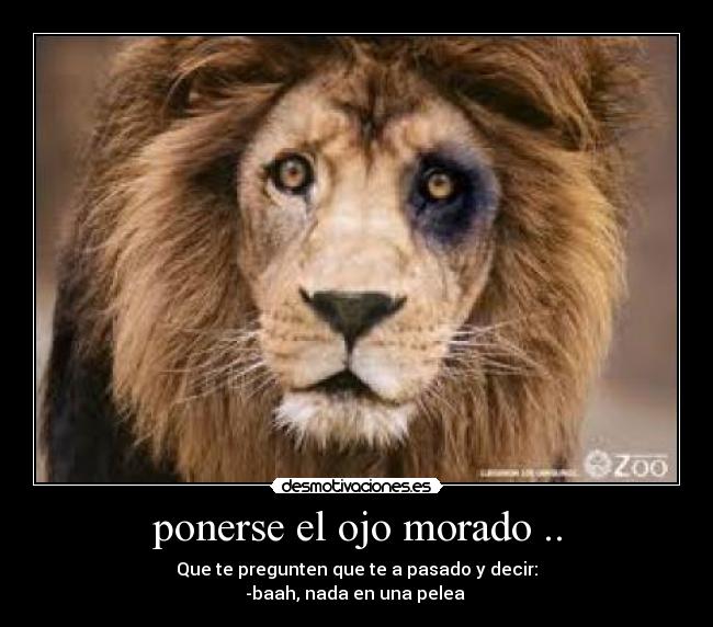 ponerse el ojo morado .. - Que te pregunten que te a pasado y decir:
-baah, nada en una pelea