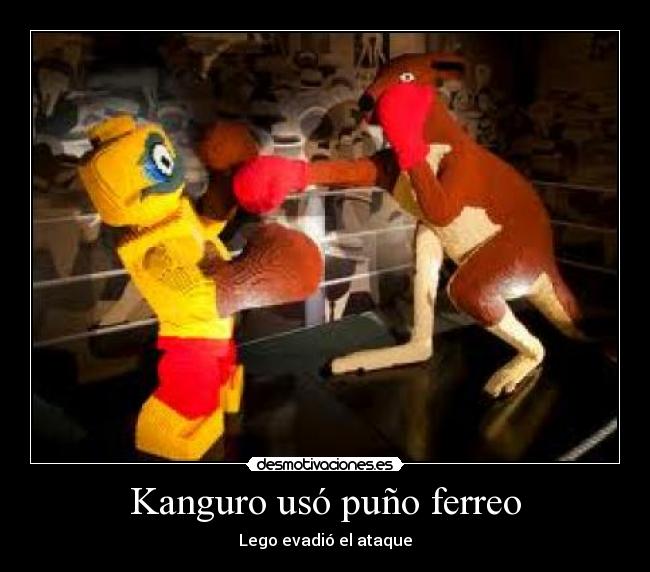 Kanguro usó puño ferreo - Lego evadió el ataque