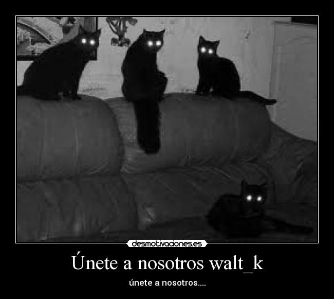 Únete a nosotros walt_k -
