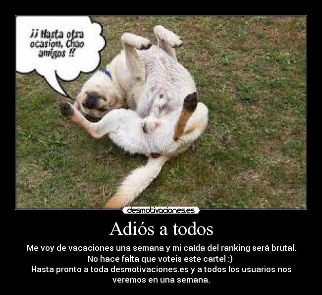 carteles forever alone troll face poker face chuck norris desmotivaciones walt_k pokemon futbol chuck norri desmotivaciones