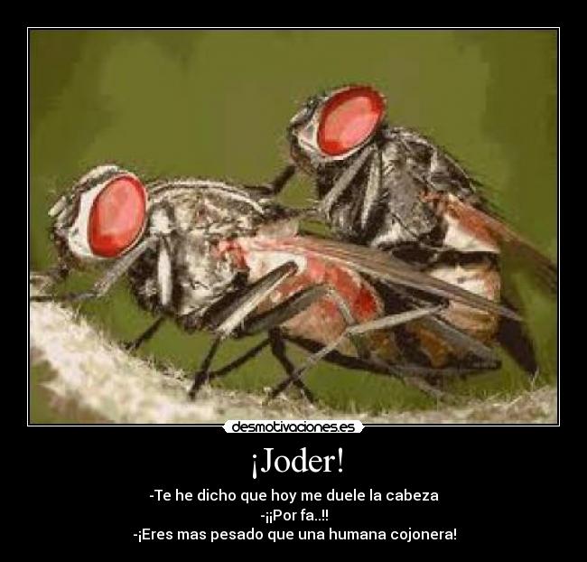 ¡Joder! - -Te he dicho que hoy me duele la cabeza
-¡¡Por fa..!!
-¡Eres mas pesado que una humana cojonera!