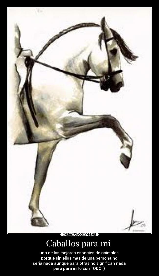 Caballos para mi  - una de las mejores especies de animales 
porque sin ellos mas de una persona no 
seria nada aunque para otras no significan nada 
pero para mi lo son TODO ;) 