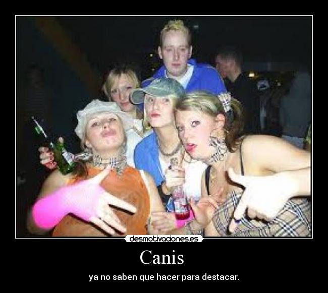 carteles canis desmotivaciones