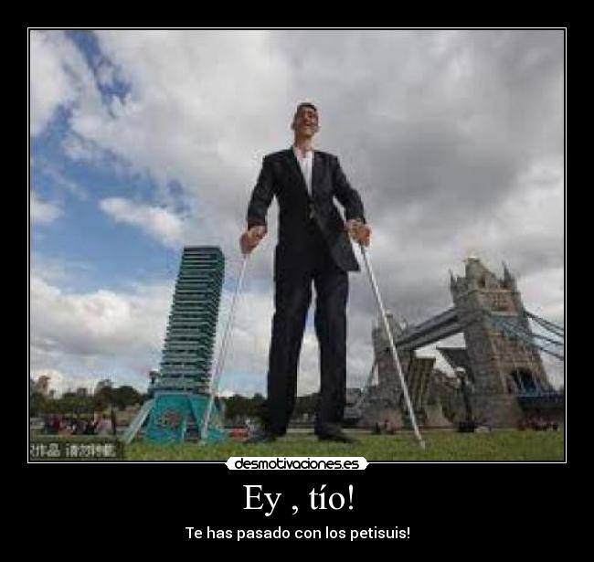 carteles petisuis desmotivaciones