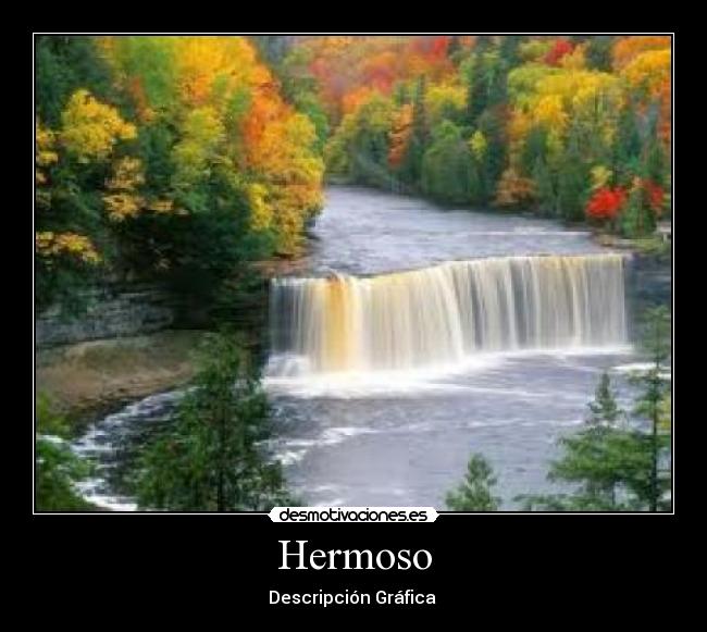 Hermoso - Descripción Gráfica