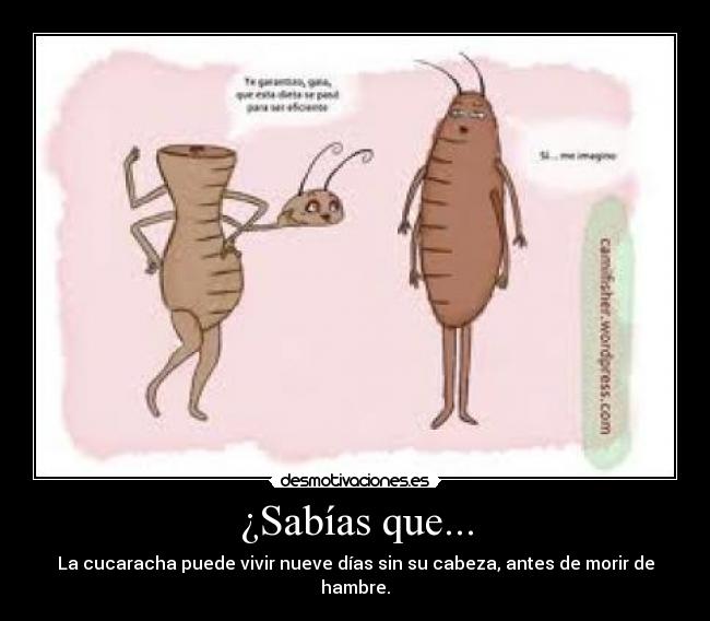 carteles neyim desmotivaciones