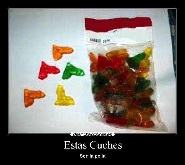 Estas Cuches -
