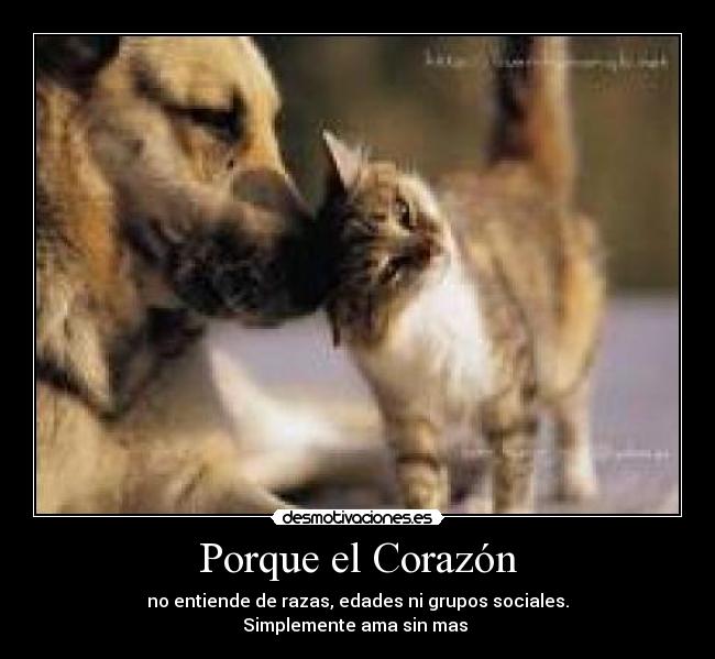 carteles corazon amor desmotivaciones