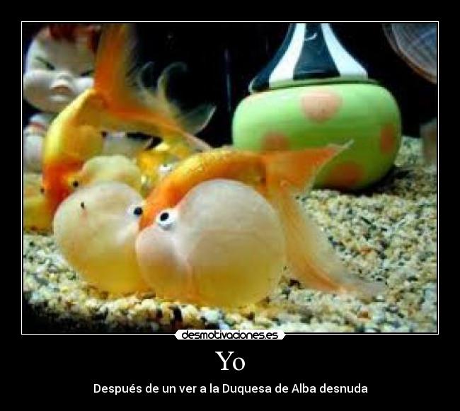 Yo - Después de un ver a la Duquesa de Alba desnuda