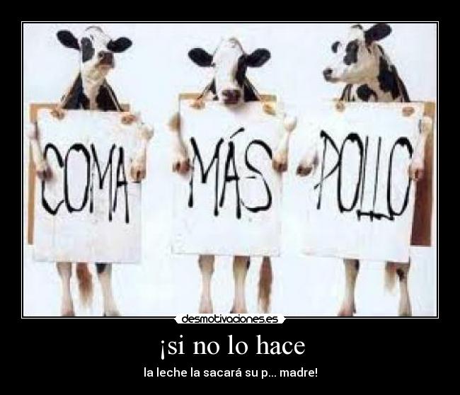 ¡si no lo hace - la leche la sacará su p... madre!