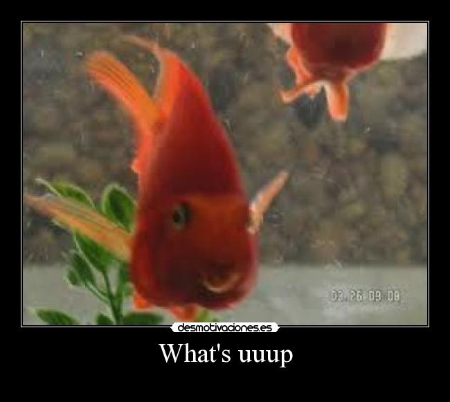 carteles alejun desmotivaciones