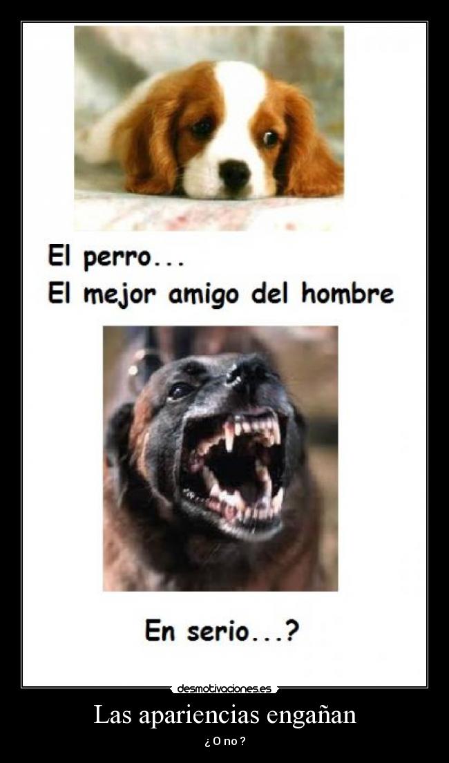 Las apariencias engañan - 