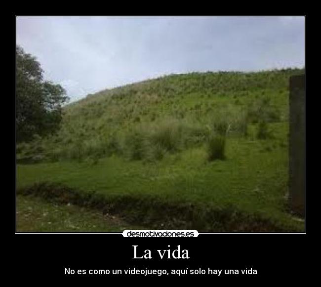 La vida -