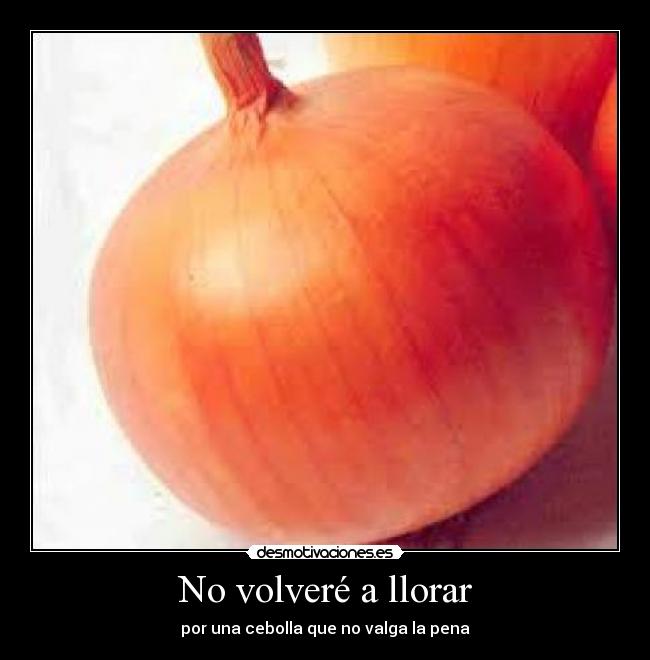 carteles llorar maria huerta desmotivaciones