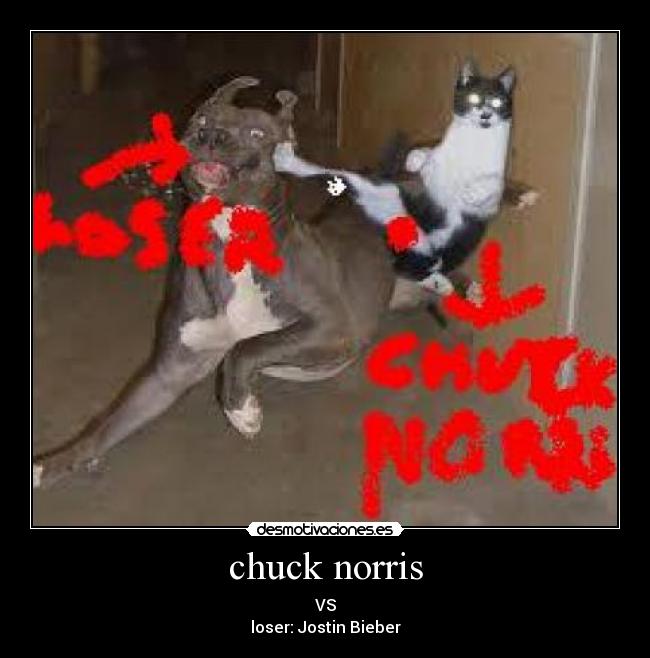 chuck norris - 