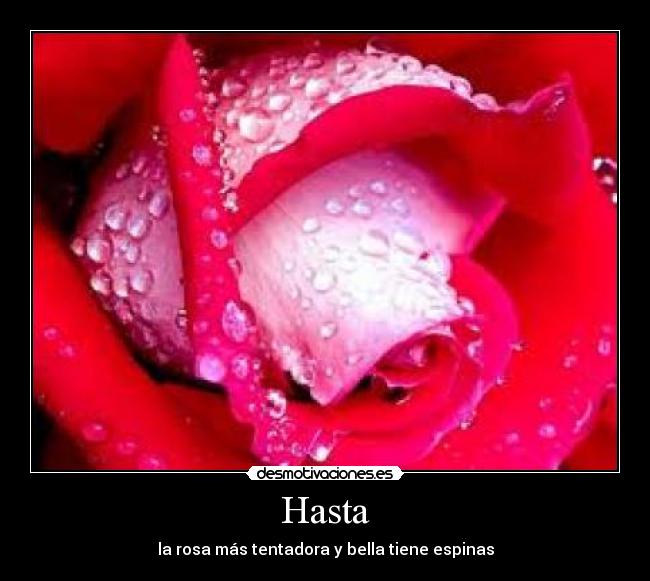 carteles desmotivaciones