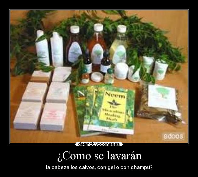 ¿Como se lavarán -