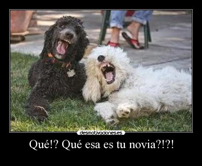 Qué!? Qué esa es tu novia?!?! -